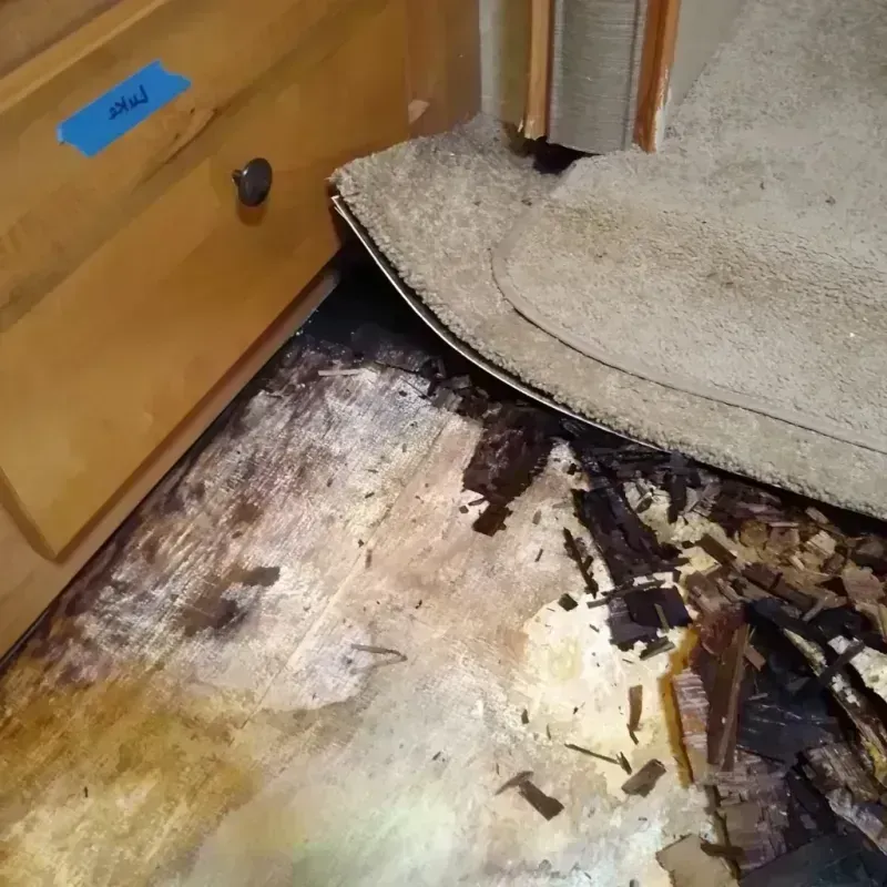 Wood Floor Water Damage in Joanna, SC